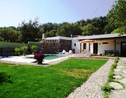Myc Villalari فيلة Gurece